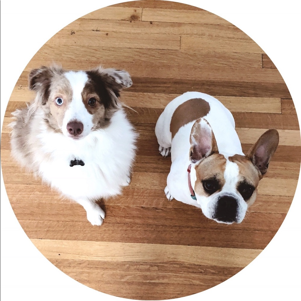 🐶 Pet Friendly Home 🐶